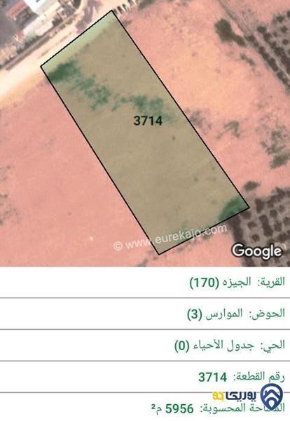 ارض للبيع مساحة 5956م في الجيزة - عمان