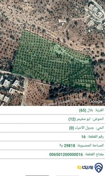 قطعة ارض مطلة مساحة 29818م للبيع في عمان-بدر الجديدة