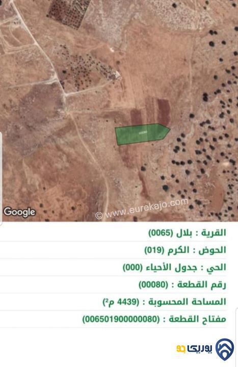 قطعة ارض للبيع في بدر الجديدة - بلال مساحتها 4439 م