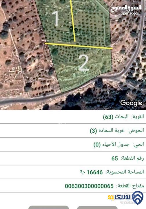 قطعة أرض للبيع في مرج الحمام مساحة 5500 م 