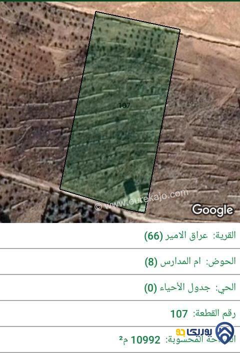ارض للبيع مساحة 10992م في عراق الامير - عمان