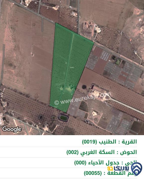 ارض مساحة 2600م للبيع في الطنيب-عمان