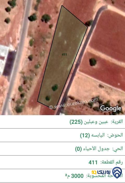 ارض للبيع مساحة 3000م في عبين - عجلون