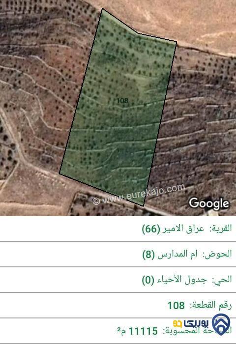 ارض للبيع مساحة 11115م في عراق الامير - عمان
