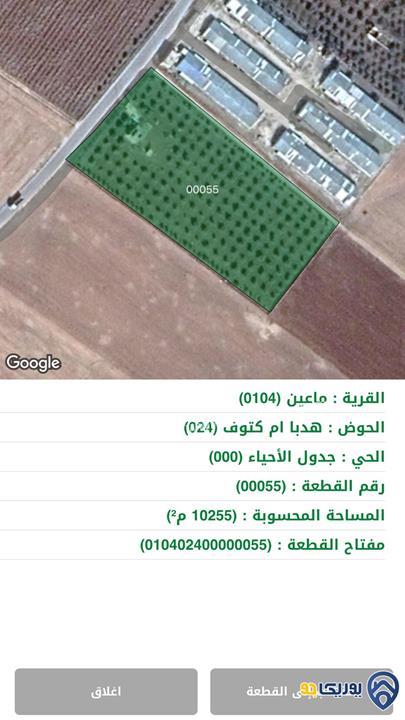 ارض للبيع مساحة 10255م في ماعين/ مادبا