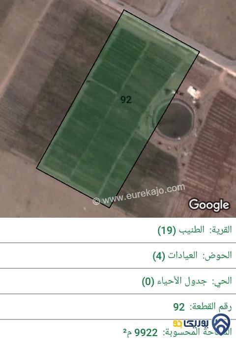 ارض للبيع مساحة 9922م في الطنيب - عمان