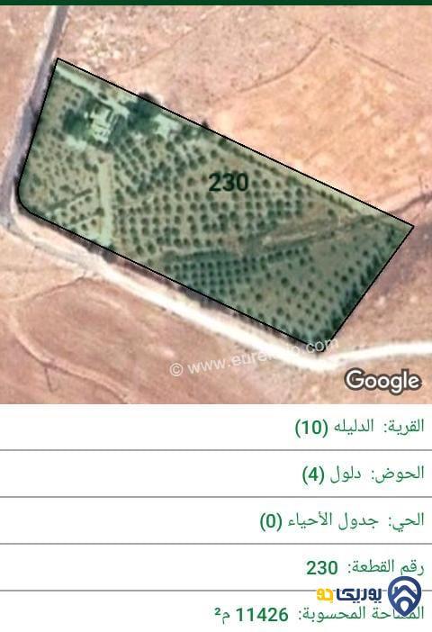 ارض للبيع مساحة 11426م دليلة الحمايدة - مادبا
