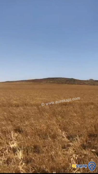ارض مميزة مساحة 4879م للبيع في اللبن-عمان
