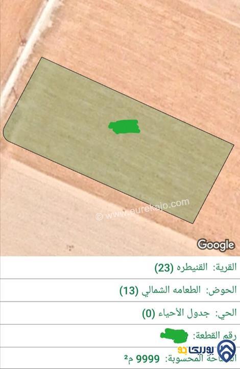 ارض مساحة 9999م للبيع في القنيطرة-عمان