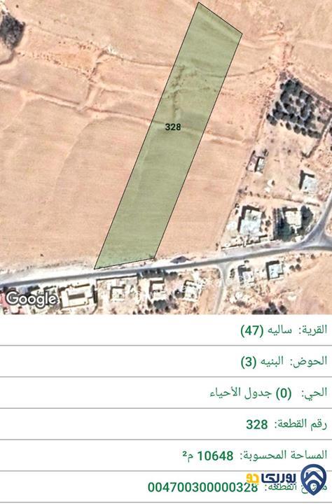 قطعة ارض مساحة 10648م للبيع في ام الرصاص - عمان